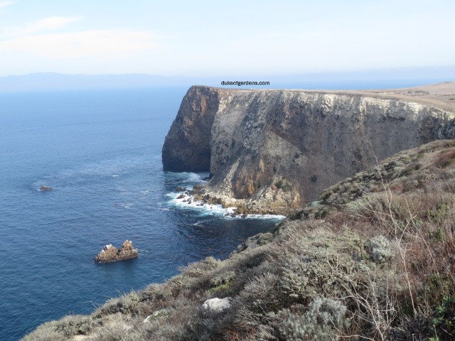 Cavern Point, Santa Cruz Island, Channel Islands National Park