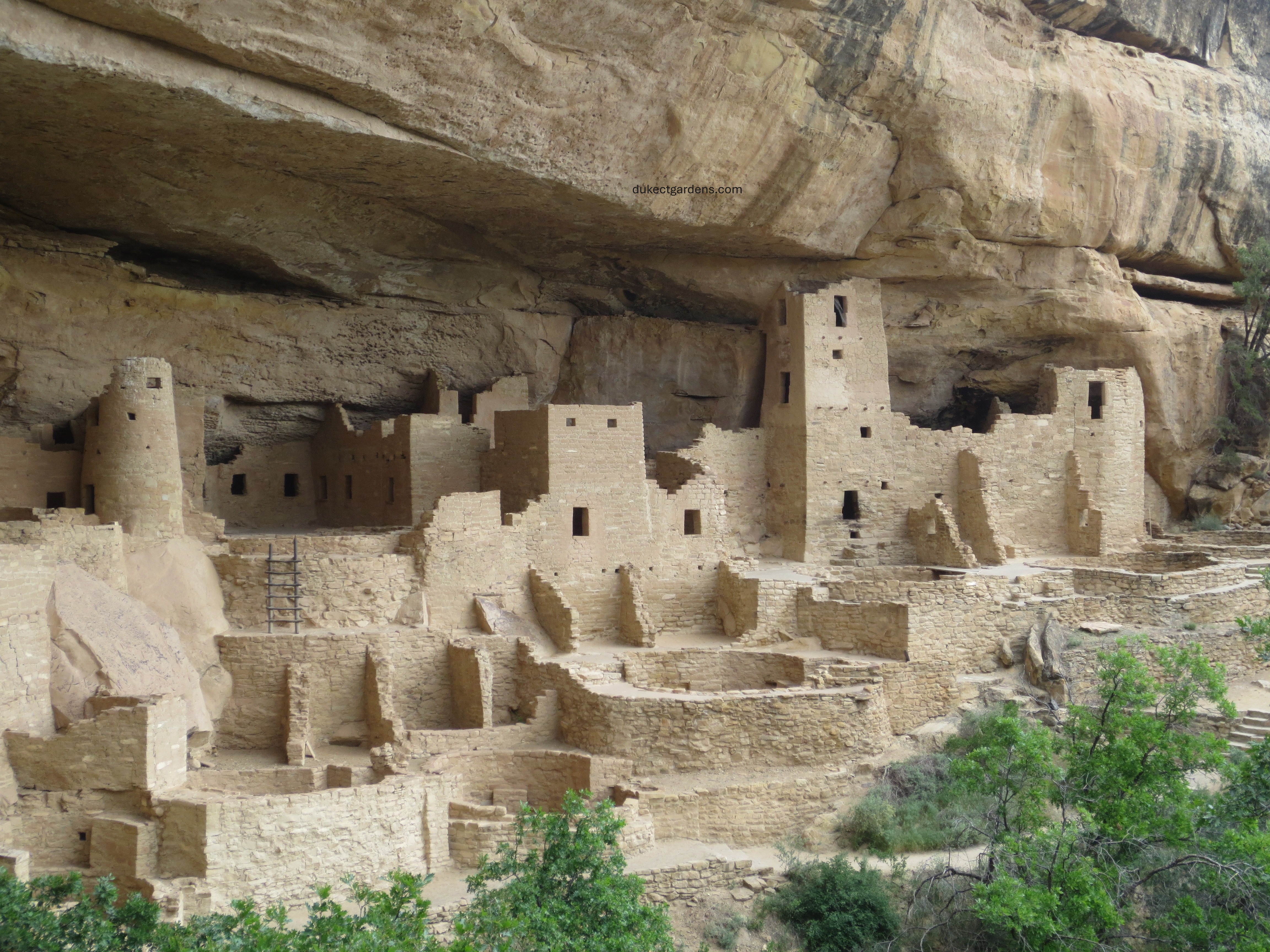 Cliff Palace in Mesa Verde National Park