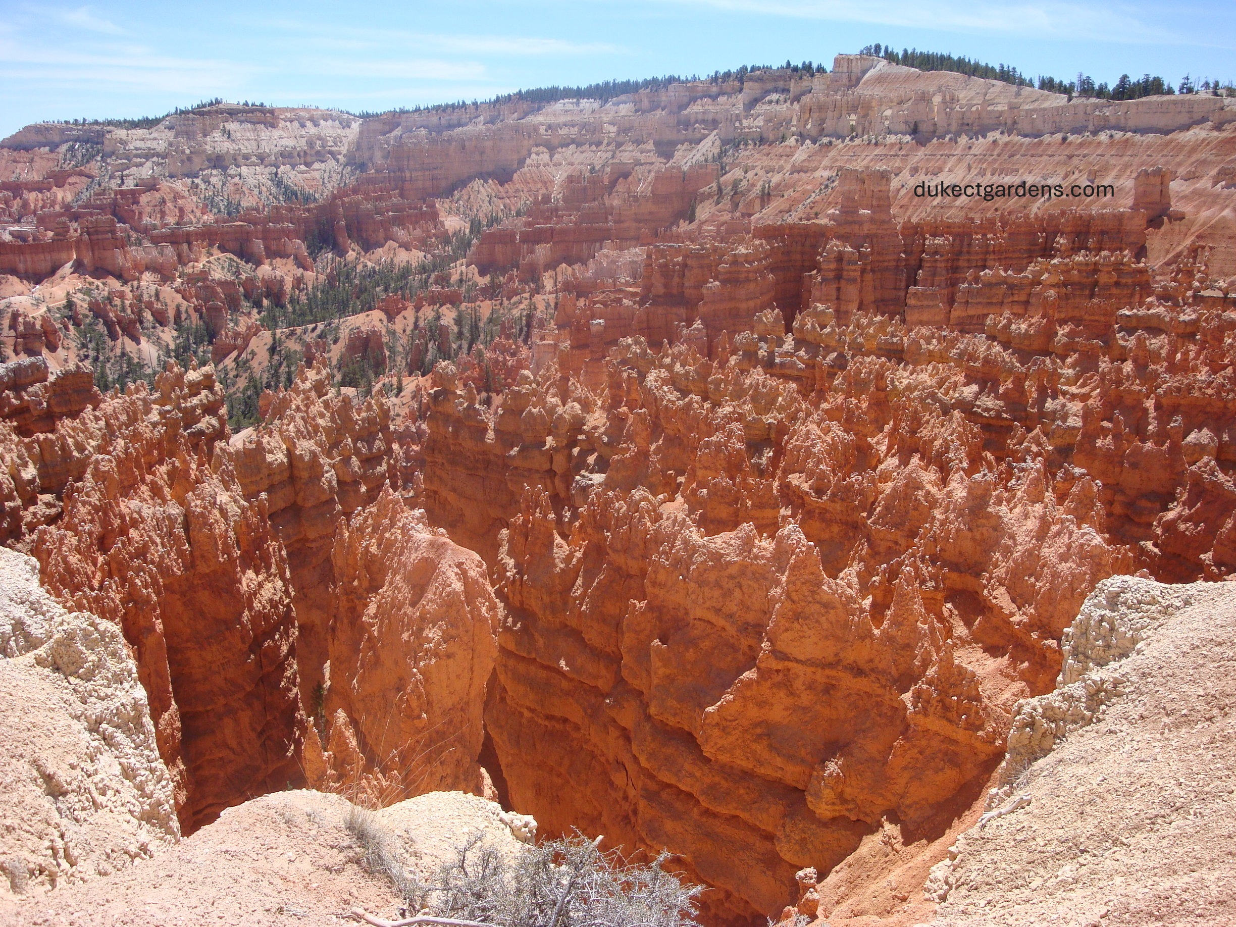 Hoodoos in Bryce Canyon National Park