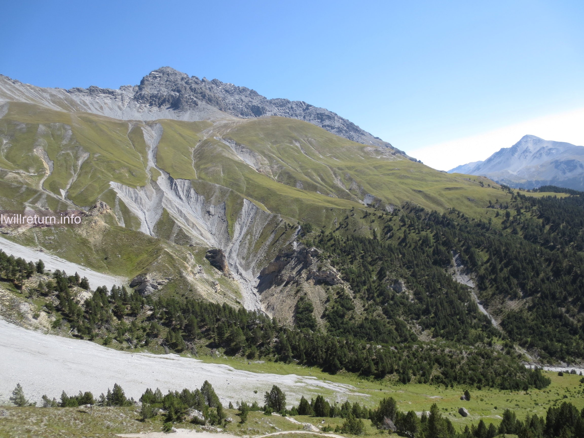 Swiss Natioanal Park: P6 Il Fuorn, Val dal Botsch, Margunet, Val da Stabelchod, P8