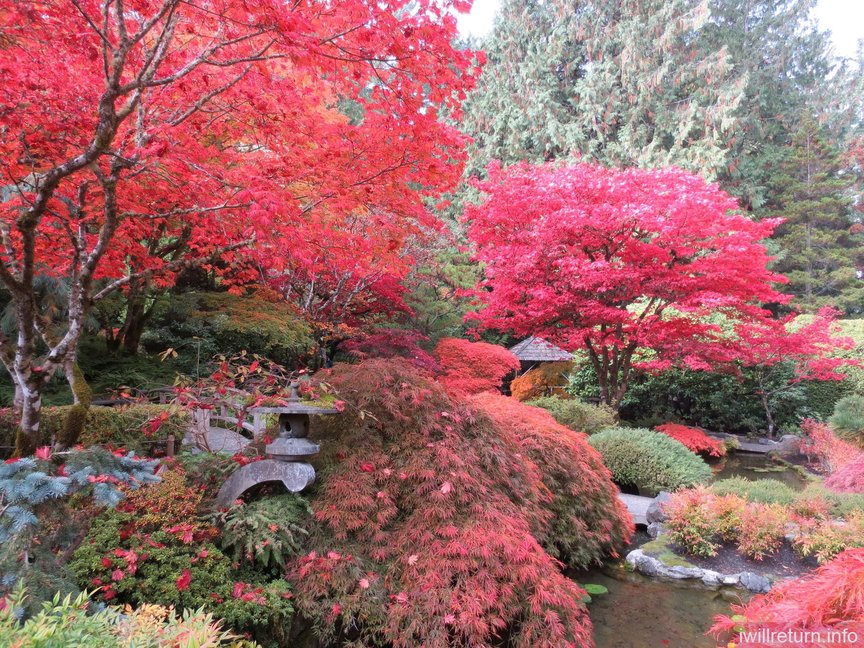 Japanese Garden, Butchart Gardens
